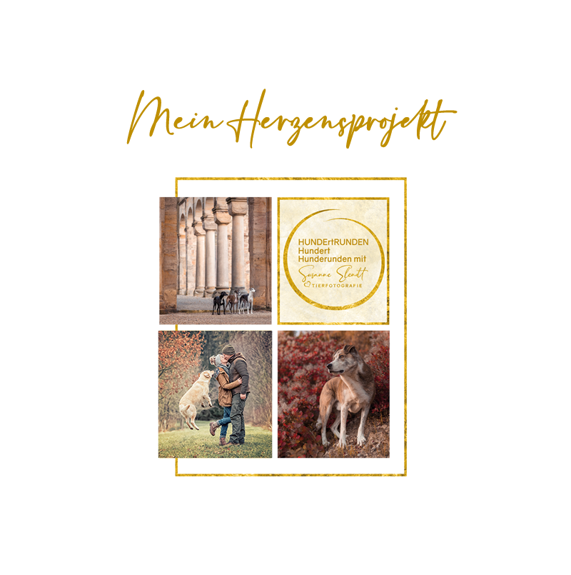 HUNDErtRUNDEN in Thüringen Hundefotoshootings Fotoreiseführer