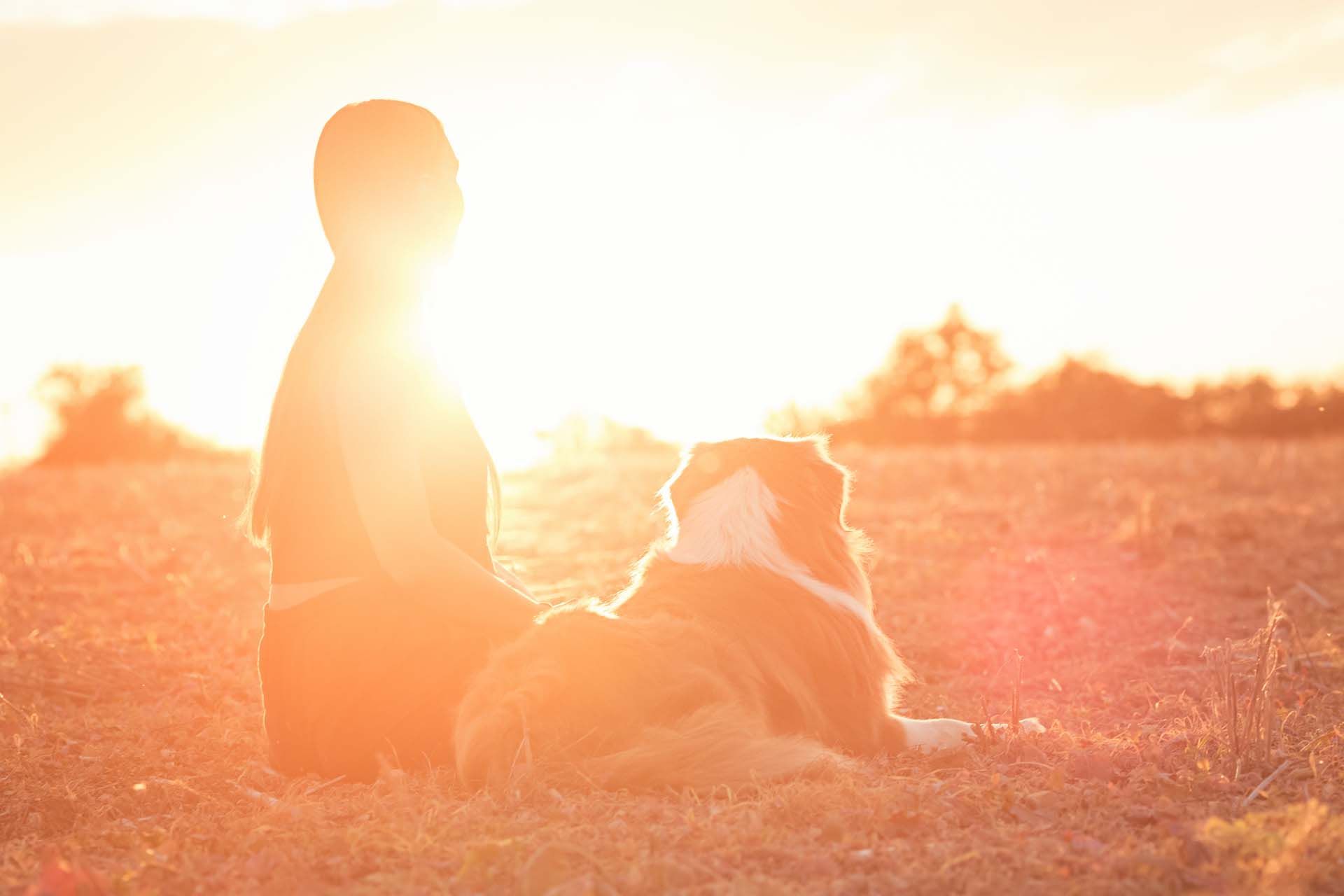 stimmungsvolle Hundefotografie Thüringen