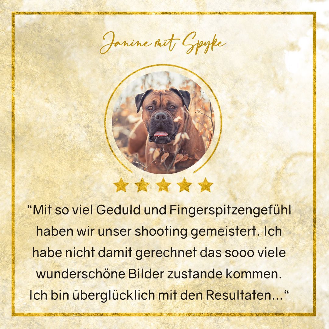 Hundefotografie Erfahrungen Bewertung Susanne Elendt Tierfotografie