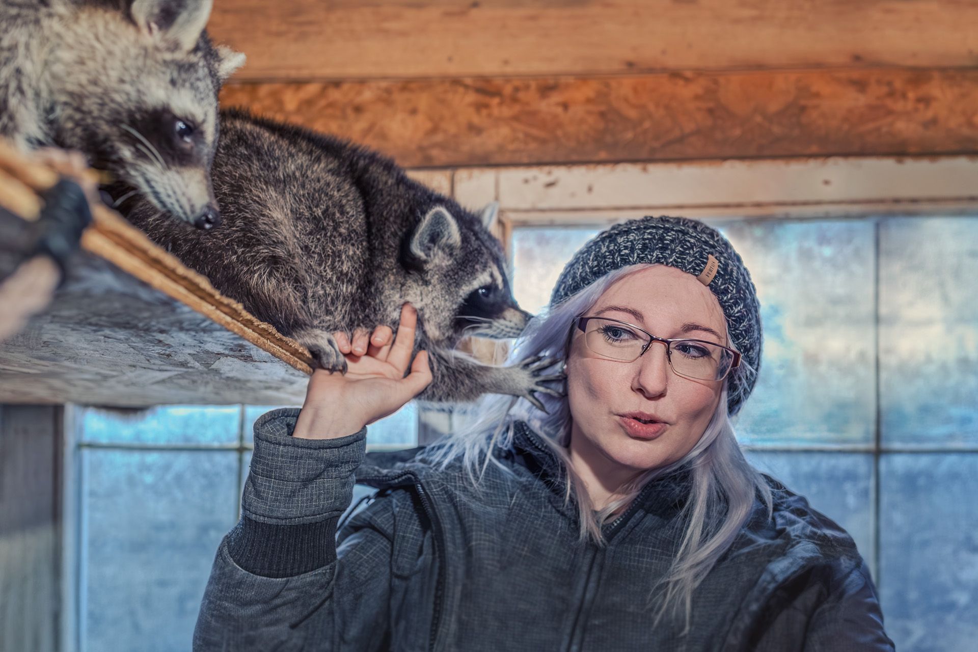 Buche dein Fotoshooting mit Waschbären bei Herztierfotografie