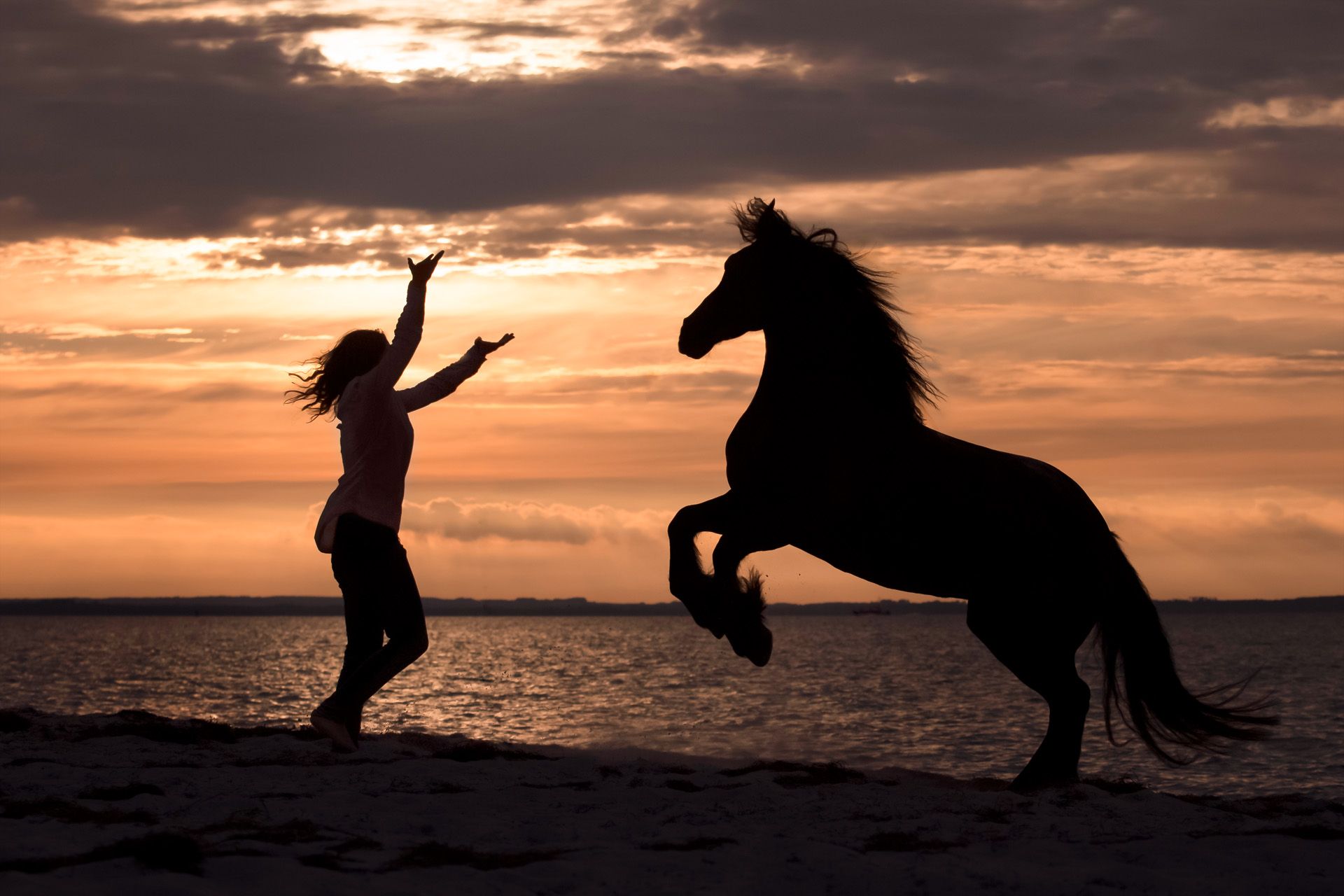 Pferdefotoshooting Thüringen Pferd-Mensch-Fotografie