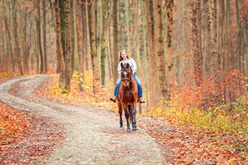 Pferd-Reiter-Fotografie Tierfotoshooting in Thüringen