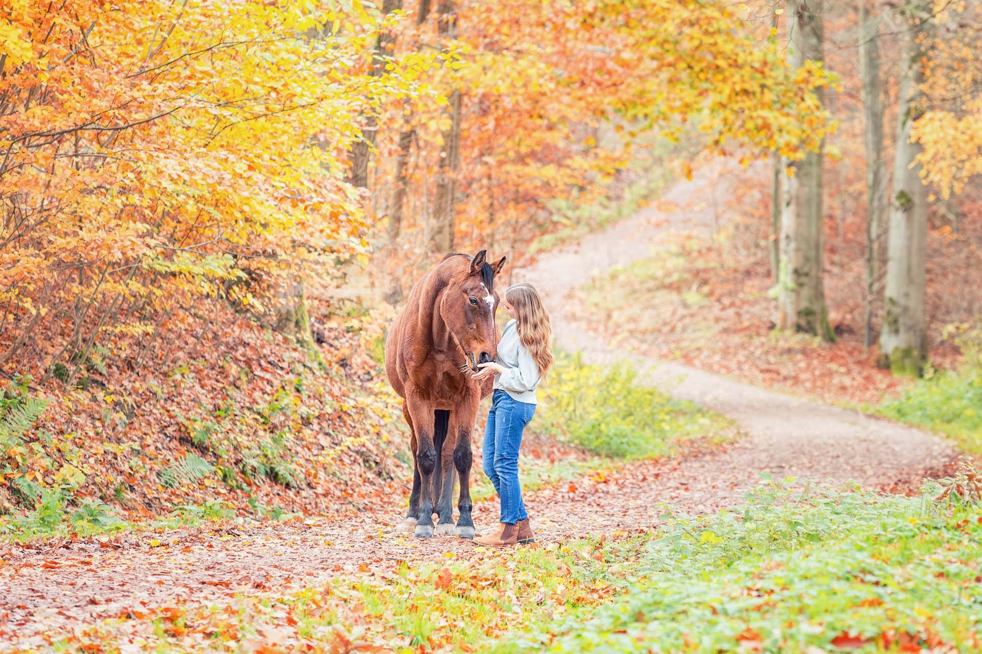 Pferd-Mensch-Fotografie in Thüringen Hund macht Luftsprung bei küssendem Pärchen Hundeshooting Hundefotografie Tierfotografie Thüringen Erfurt Weimar Jena