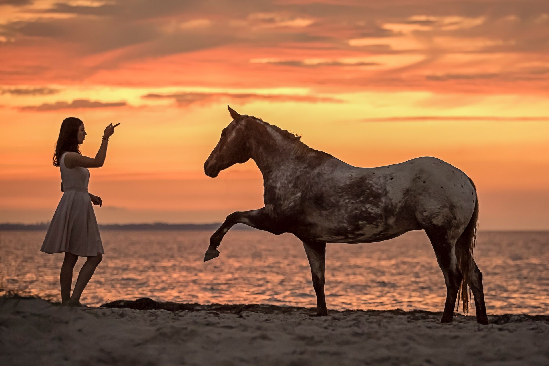 Pferdefotoshooting Thüringen Pferd-Mensch-Fotografie