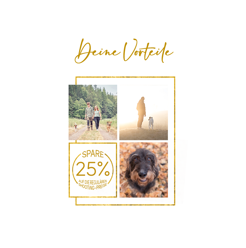 Spare 25% für Hundefotoshootings in Thüringen und Fotoreiseführer