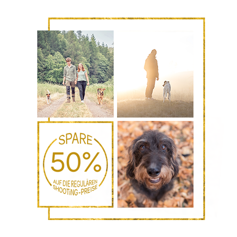 HUNDErtRUNDEN in Thüringen Hundefotoshooting Tierfotografie Gutschein