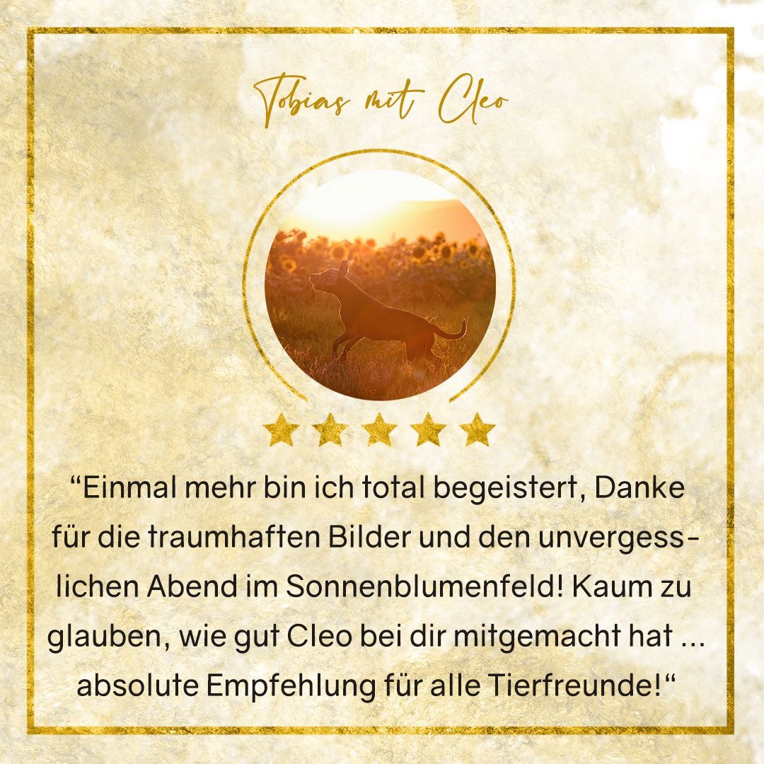 Erfahrung Herztierfotografie Hundeshooting Thüringen