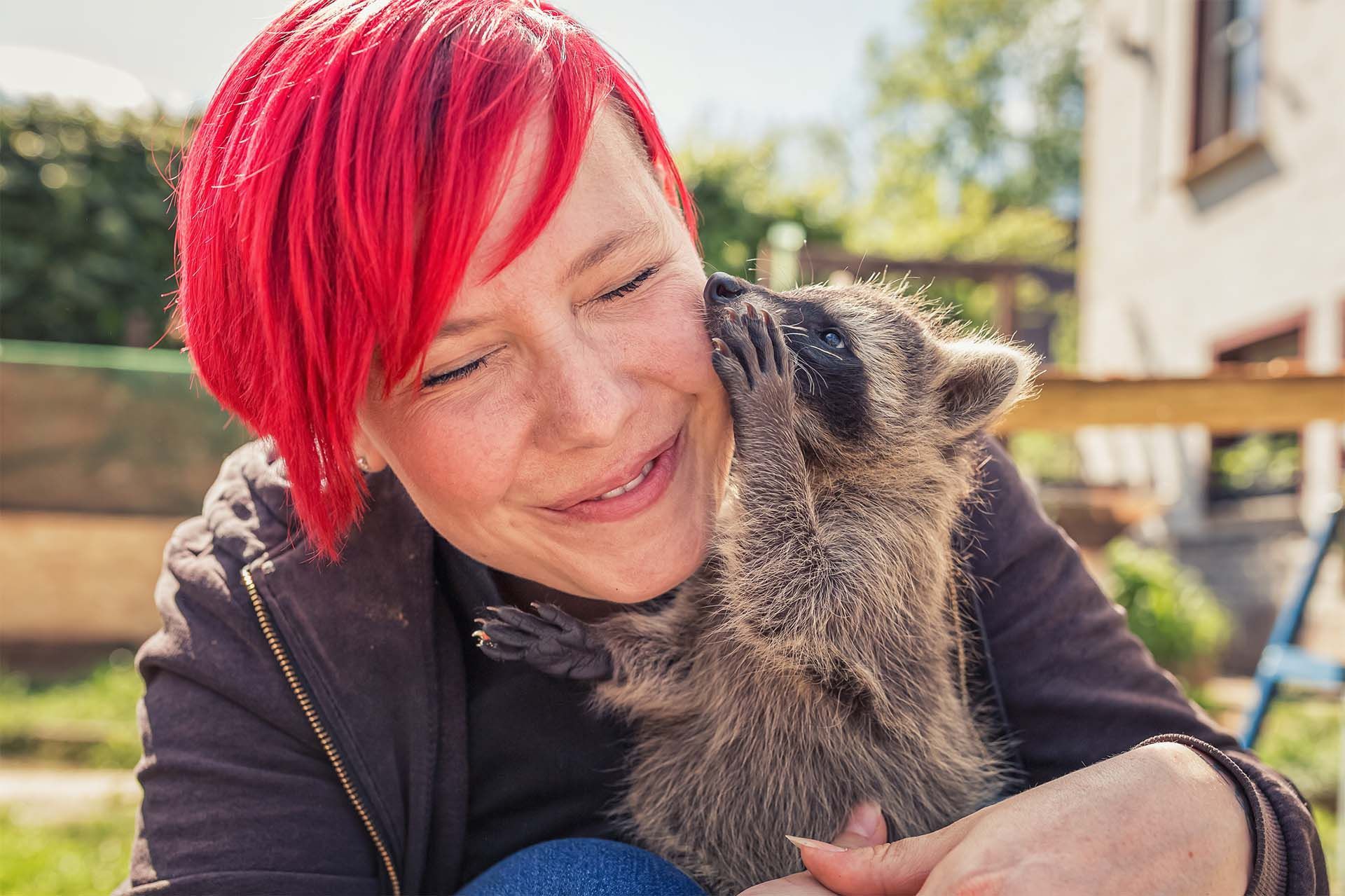 Waschbär Fotoerlebnis mit Herztierfotografie
