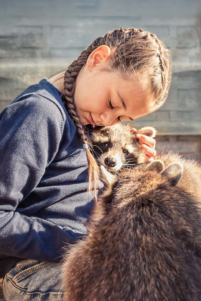 Buche dein Fotoshooting mit Waschbären bei Herztierfotografie