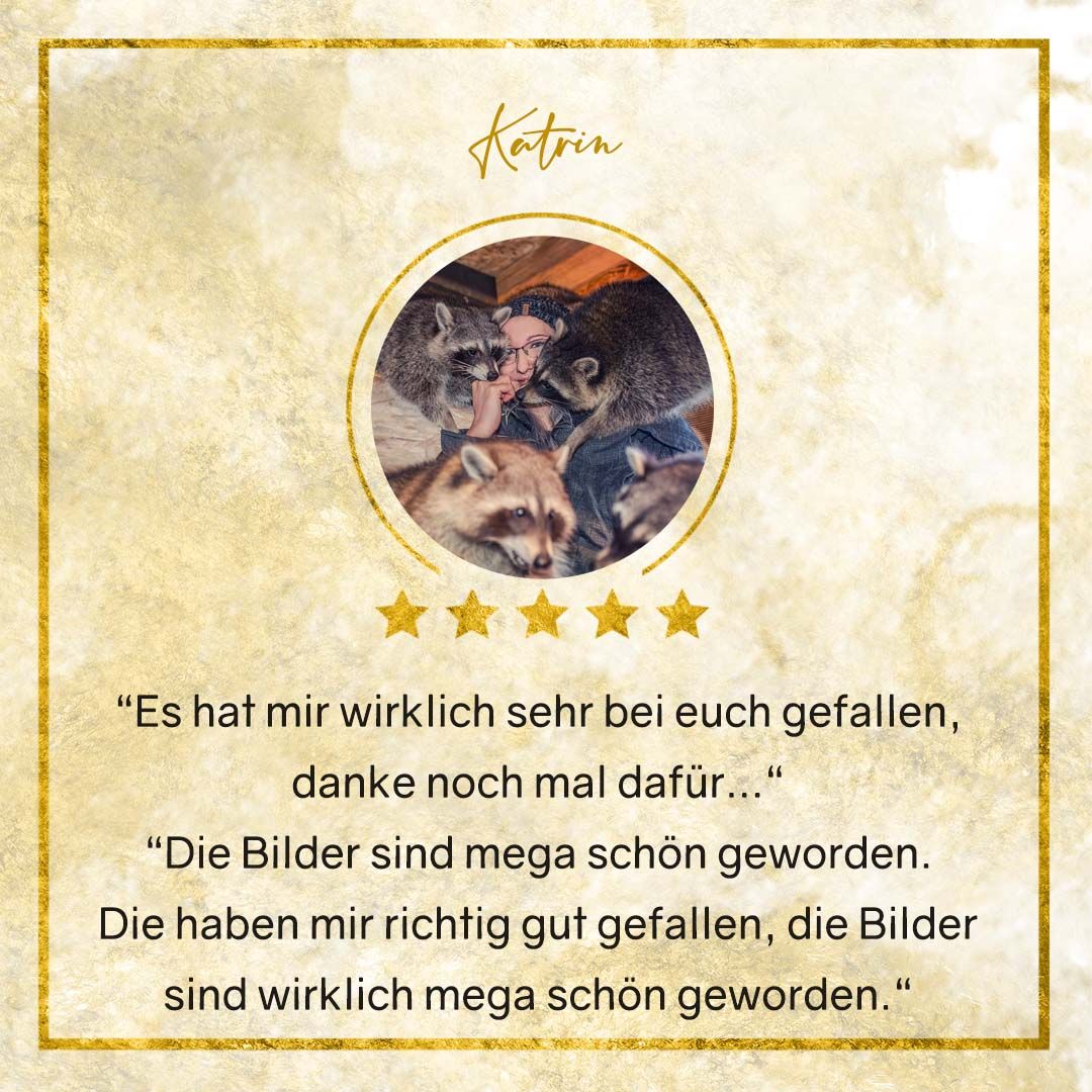 Erfahrungen von Waschbärfreunden beim Waschbärfotoshooting - ein Fotoerlebnis, mit dem du zugleich die Waschbärrettung und Waschbärhilfe unterstützt.