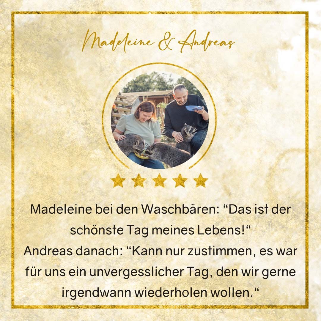 Erfahrungen von Waschbärfreunden beim Waschbärfotoshooting - ein Fotoerlebnis, mit dem du zugleich die Waschbärrettung und Waschbärhilfe unterstützt.