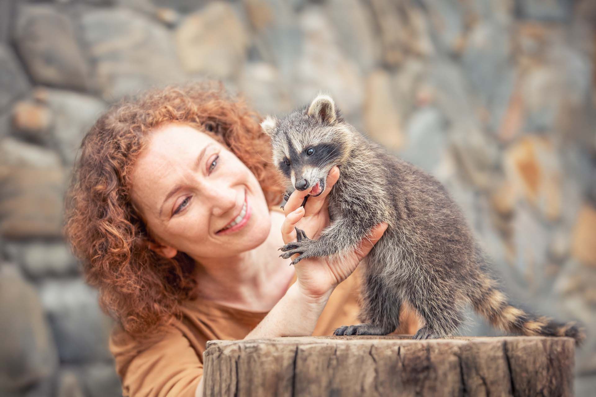 Gutschein für Waschbärfreunde Fotoshooting mit Waschbären