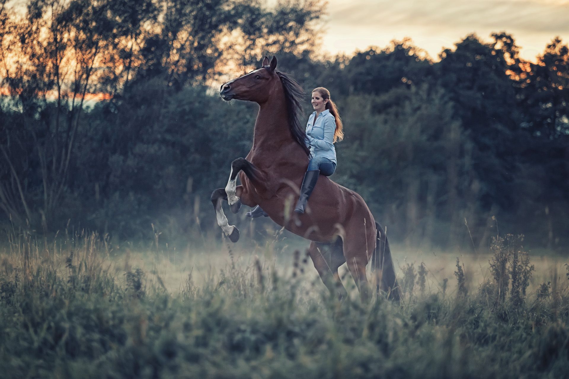 Pferdeshooting steigendes Pferd mit Reiterin Pferdefotografie