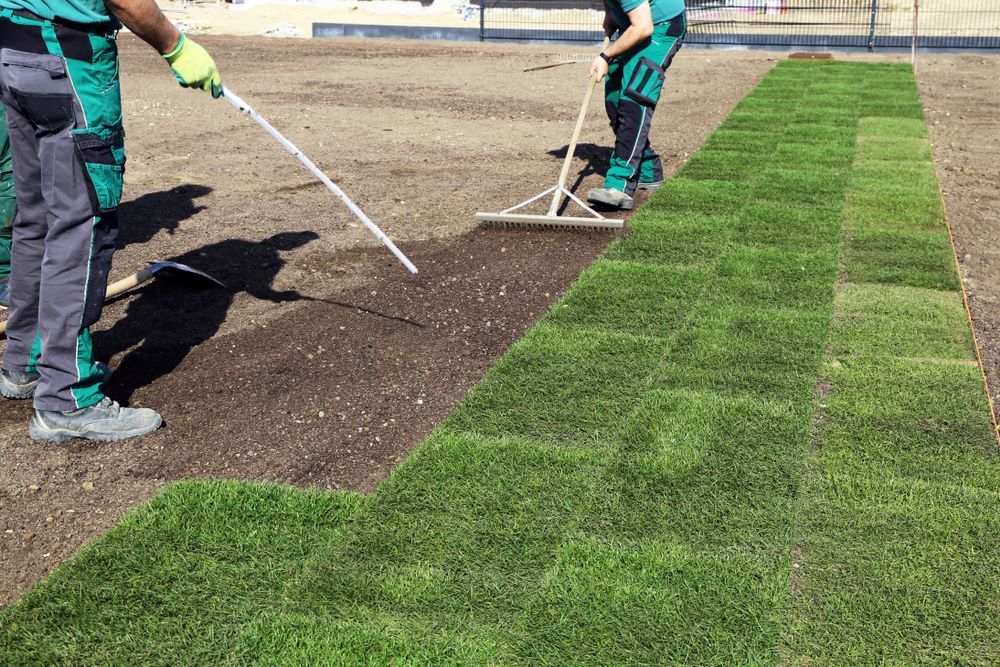 Two Men Are Raking Dirt on a Lush Green Lawn — Oaks Quality Turf In Wollongong, NSW