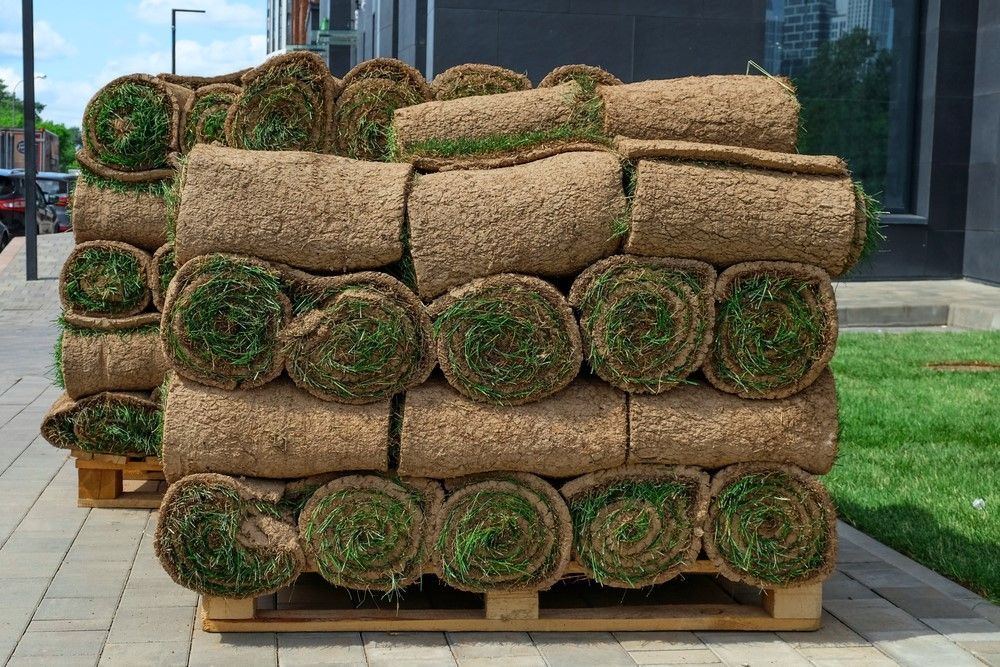 A Pile of Rolls of Grass Sitting on Top of a Wooden Pallet — Oaks Quality Turf In Coolangatta, NSW