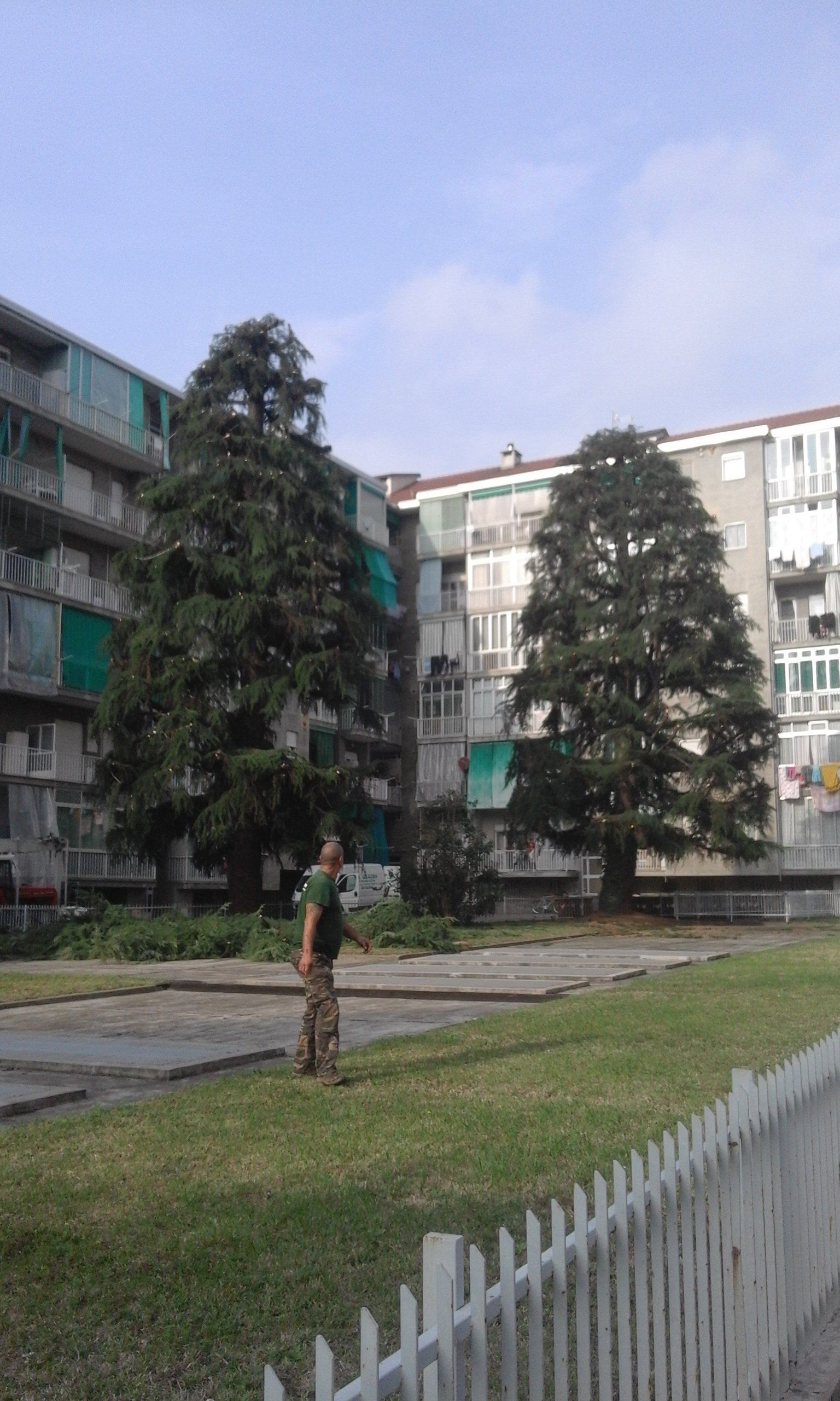 POLLIOTTO MANUTENZIONE GIARDINI
