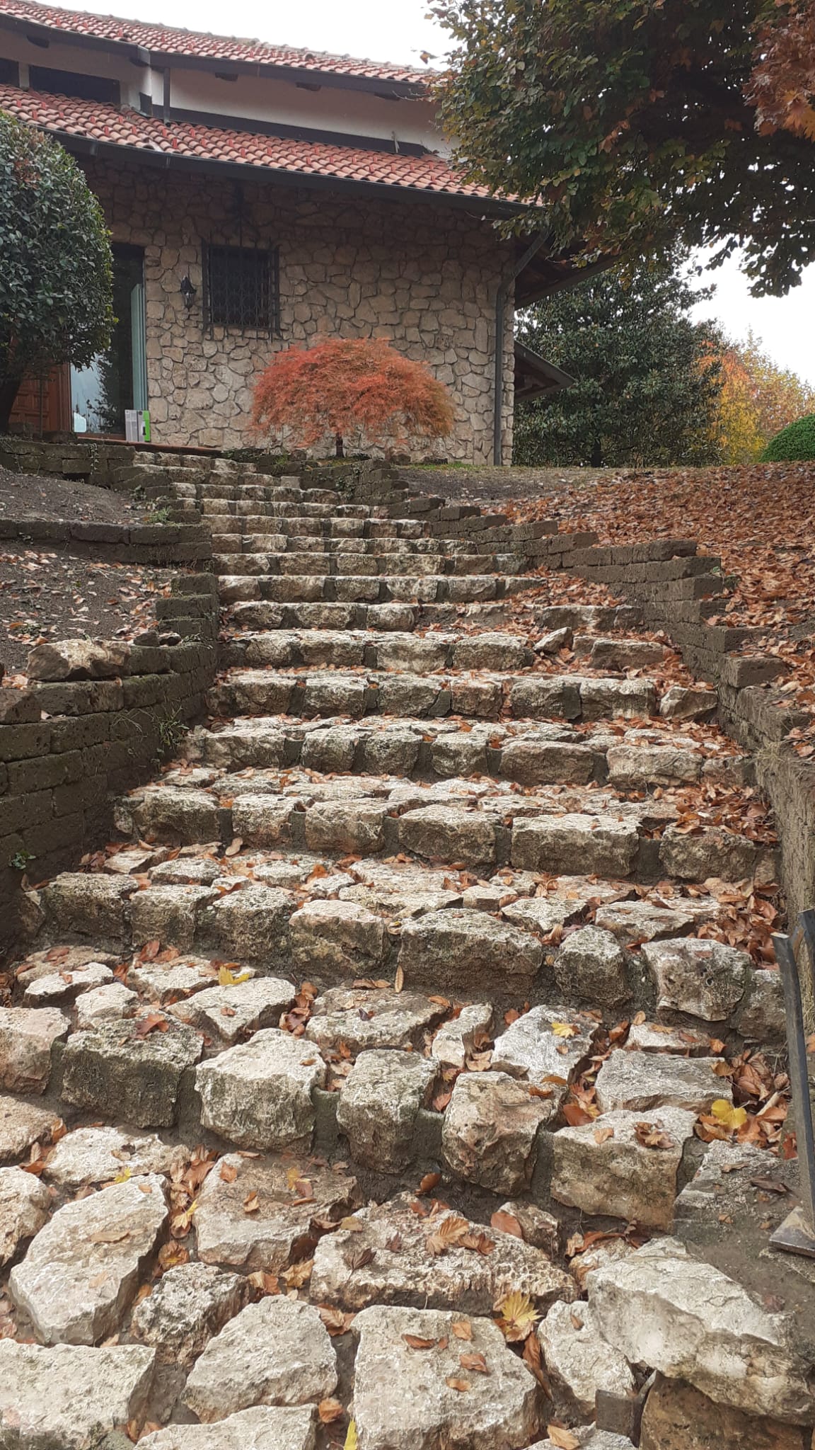 POLLIOTTO MANUTENZIONE GIARDINI
