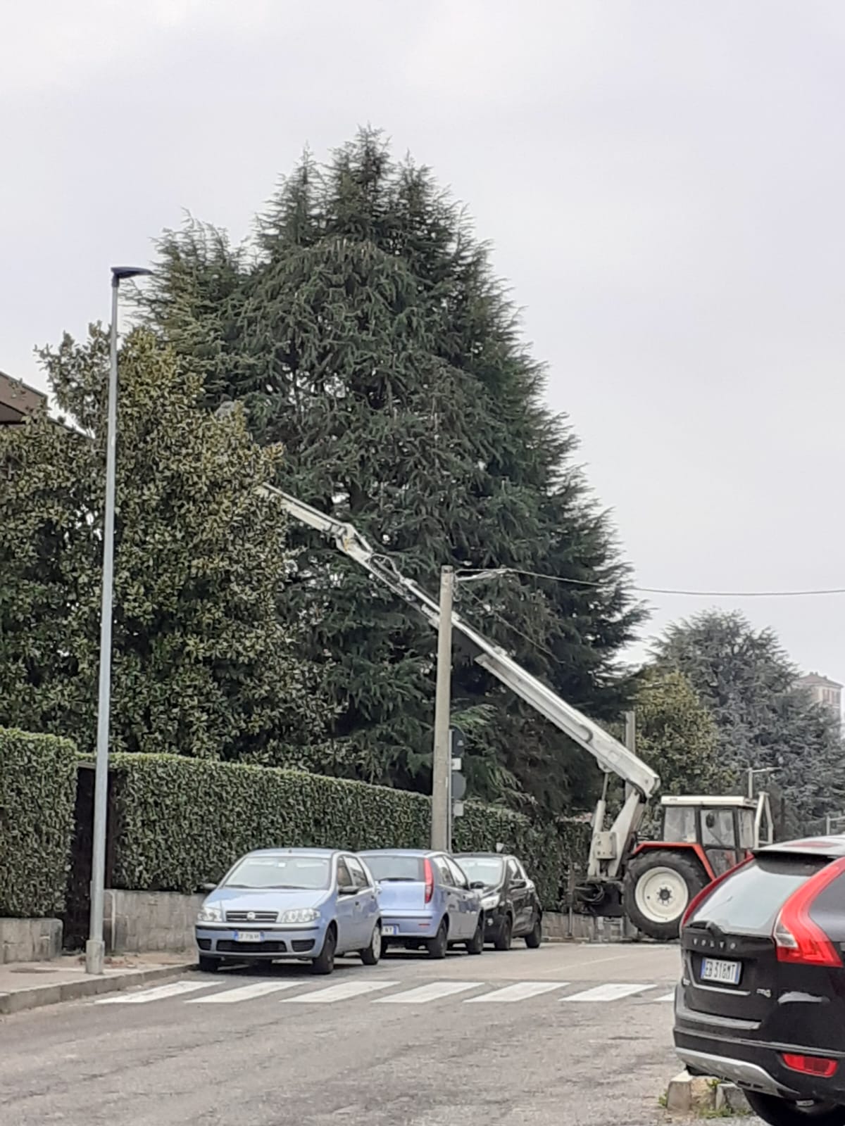 POLLIOTTO MANUTENZIONE GIARDINI