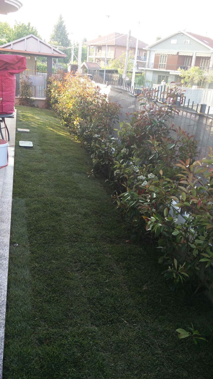 POLLIOTTO MANUTENZIONE GIARDINI