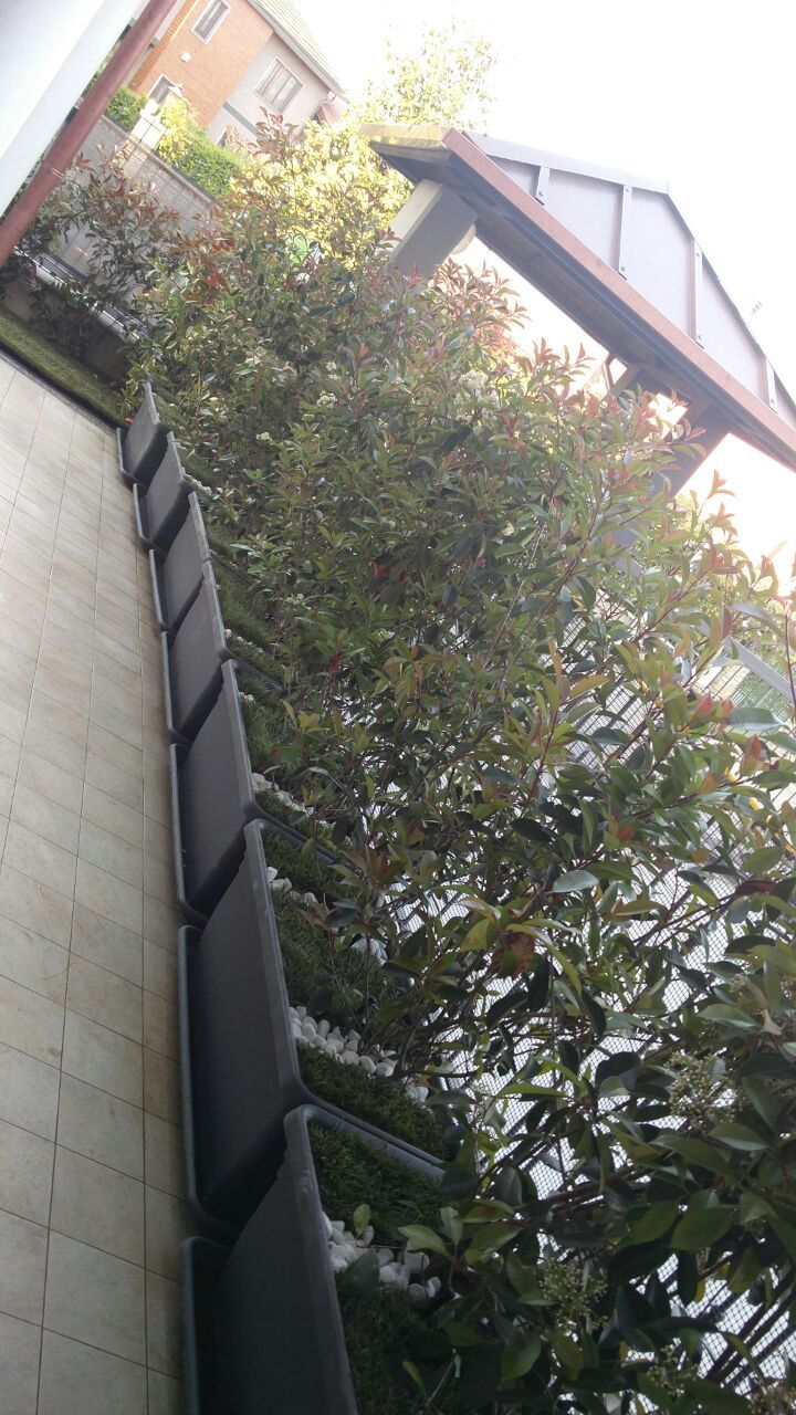 POLLIOTTO MANUTENZIONE GIARDINI