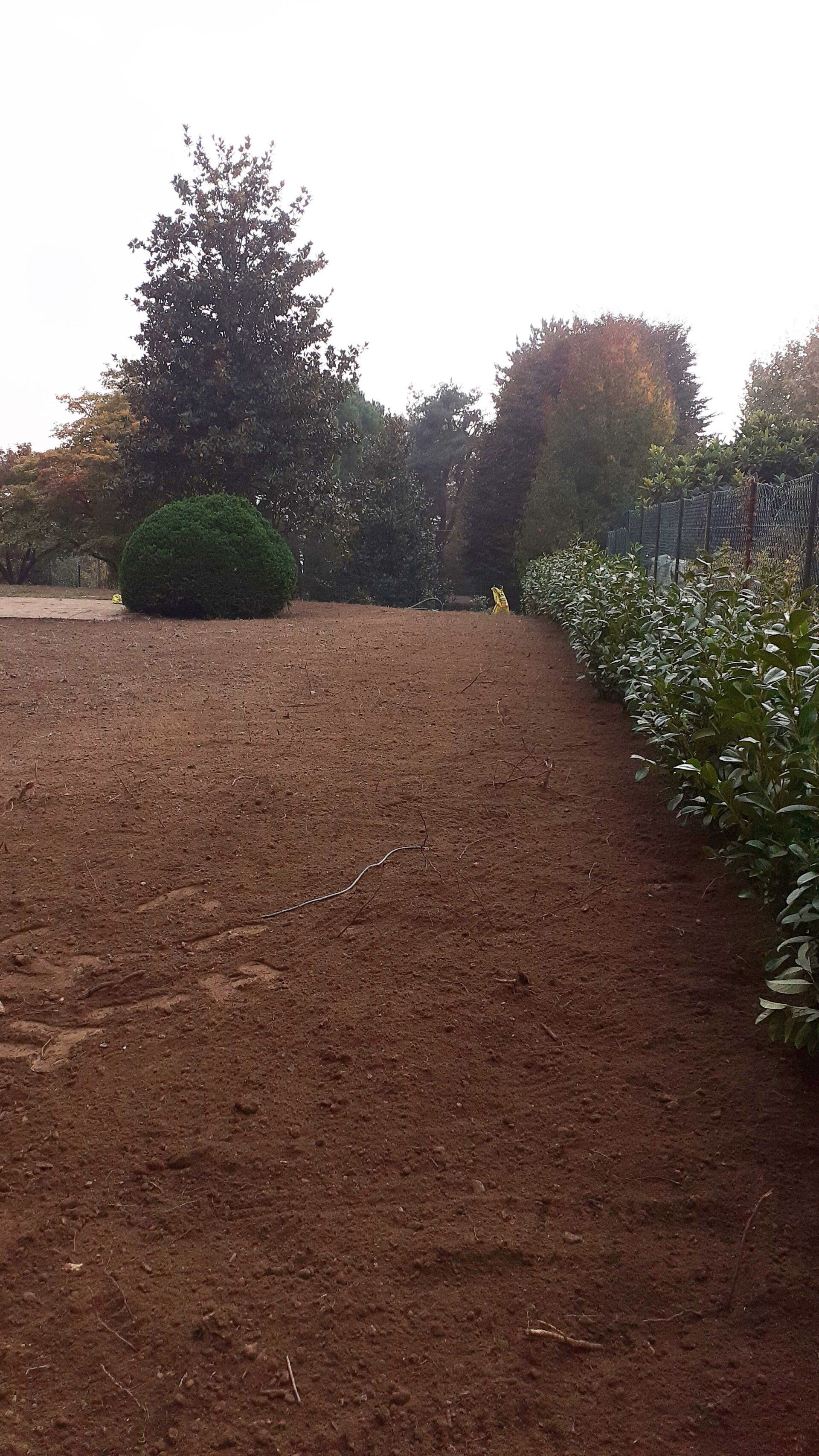 POLLIOTTO MANUTENZIONE GIARDINI