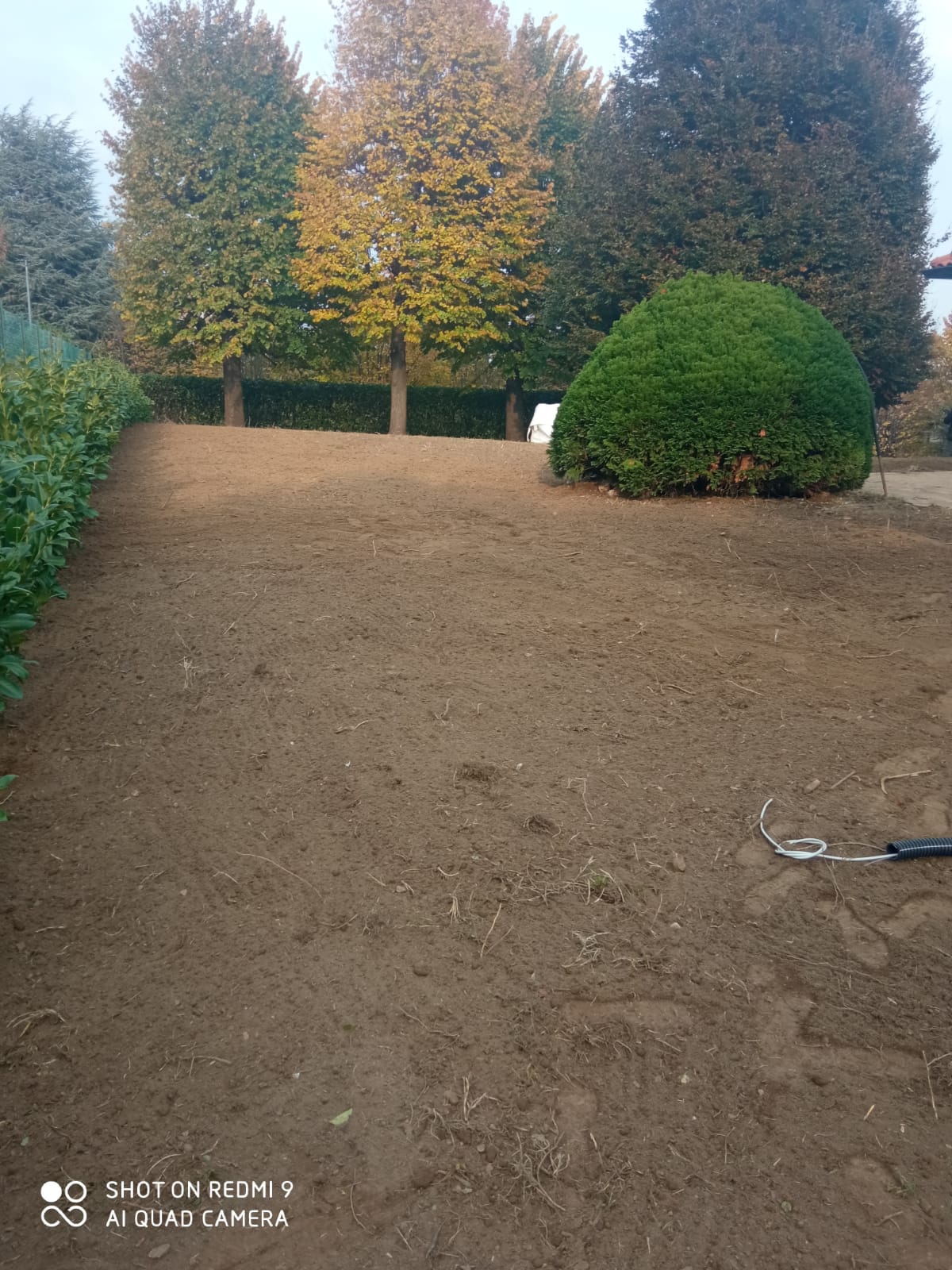 POLLIOTTO MANUTENZIONE GIARDINI