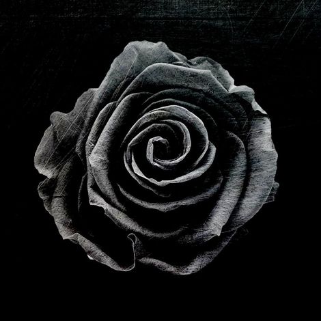 Textured Grey Metal Rose