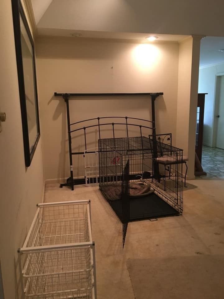 A metal bed frame leans against a wall behind a wire dog crate, with a white wire storage rack in the foreground.