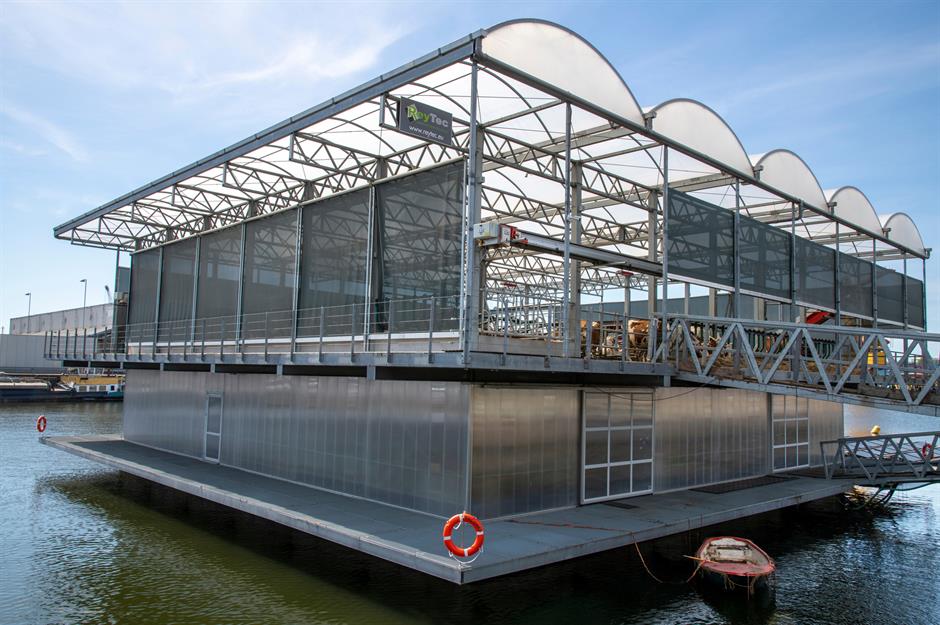 Now this is a surprise! Located in Rotterdam in the Netherlands, this is called the Floating Farm. Housing 32 dairy cows that supply Holland with milk, the farm aims to show how farming can continue despite rising sea levels whilst also reducing resources and environment al impact.