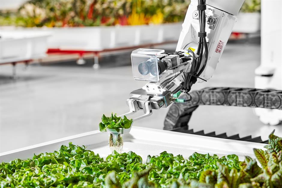 Robotic farming may be a little way off due to being too expensive to be scalable for business just now, but this future technology provides many environmental benefits for hydroponic farms. For instance, you can set it up closer to urban areas to reduce transportation costs and emissions.