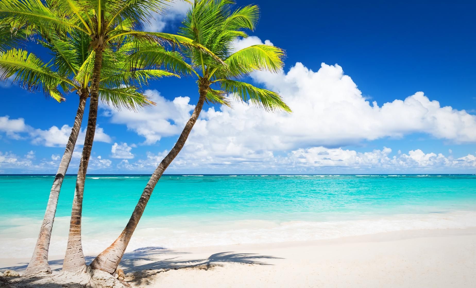 Isla Pasión: The best beach in the world according to TripAdvisor. 