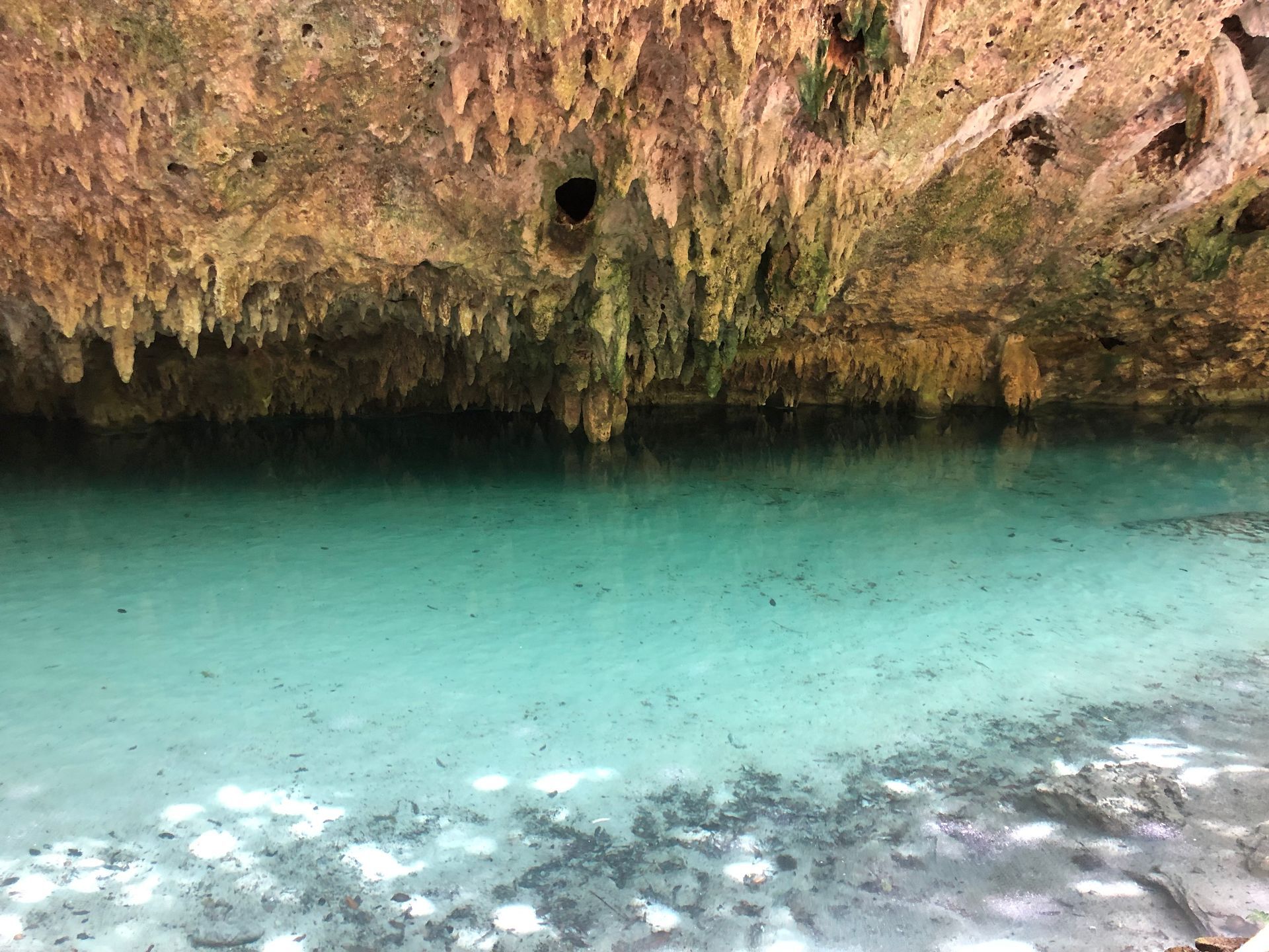 Cenote Semiabierto