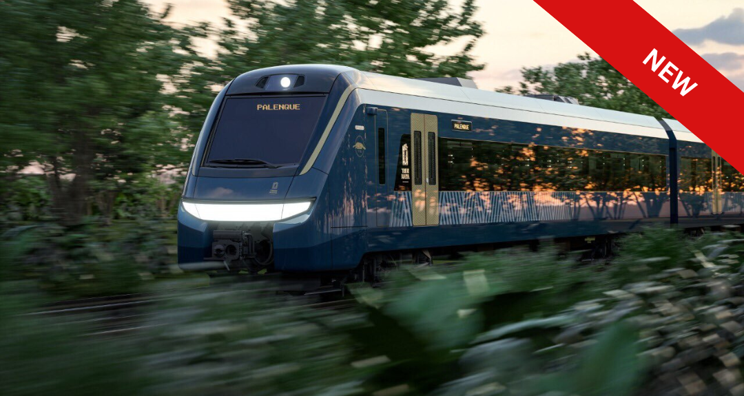A blue and white train is going through a forest.