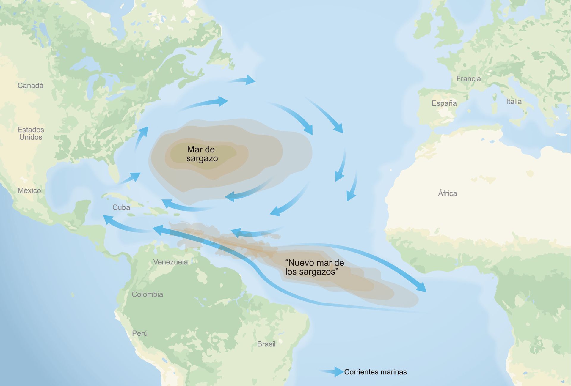 Map showing the sargassum path.