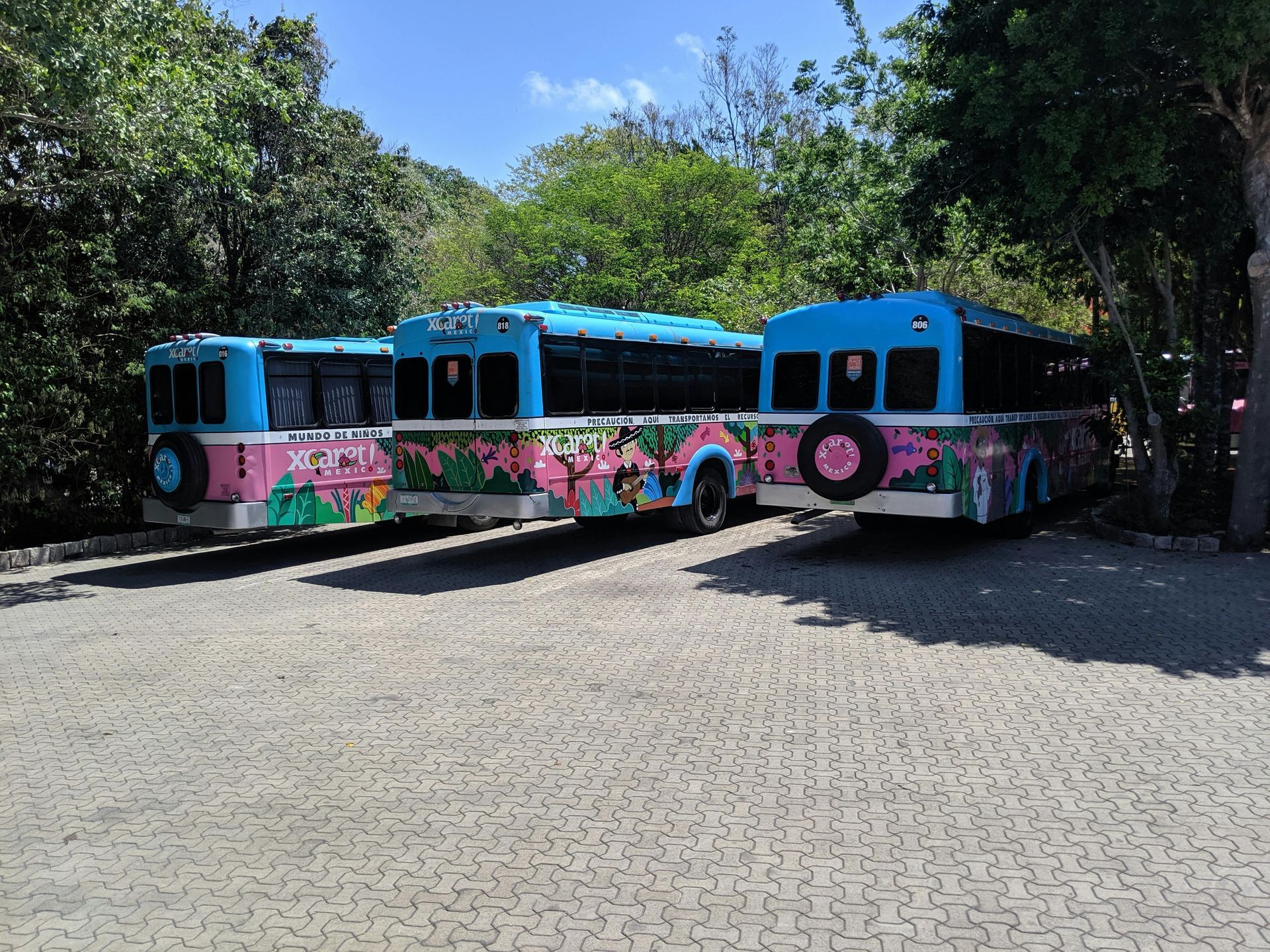 Grupo Xcaret logistics buses