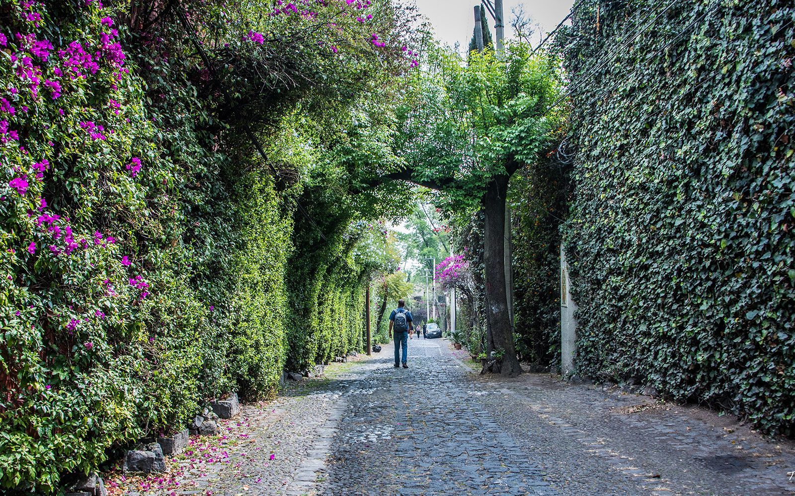 San Angel al sur de la Ciudad de México