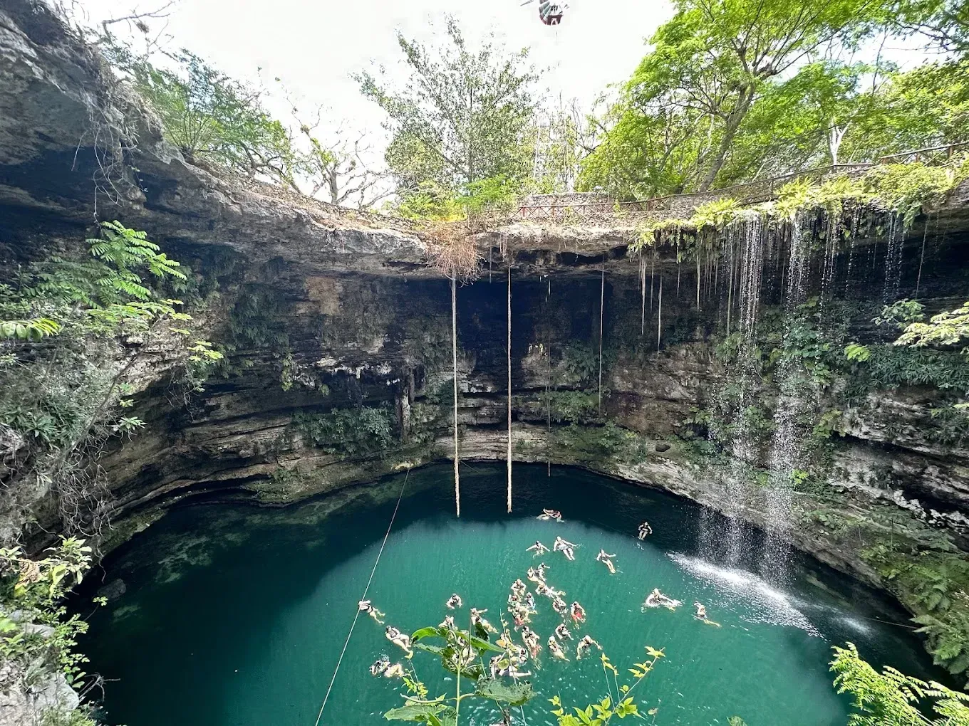 Cenote Selva Maya