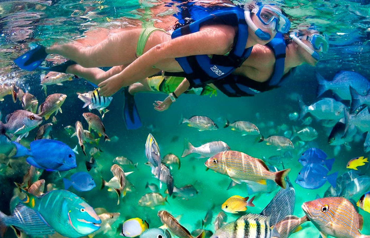 A woman is swimming in Cancun
surrounded by fish.