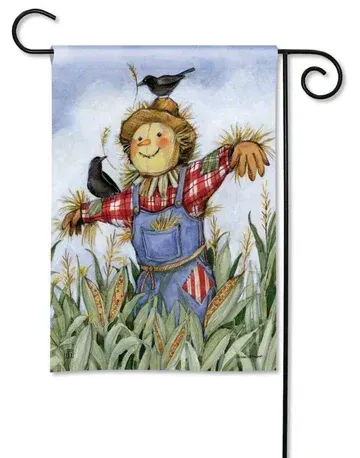 A scarecrow with a bird on his head is standing in a field of corn.