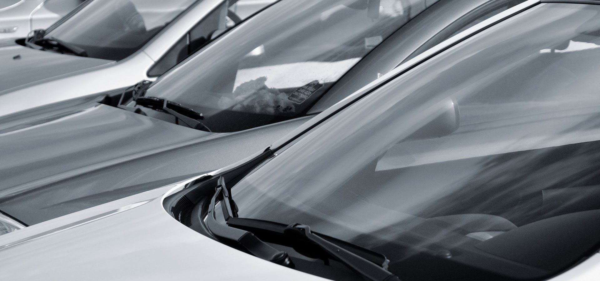 A Black and White Photo of a Row of Cars Parked Next to Each Other — Morayfield Autoglass in Caboolture South, QLD