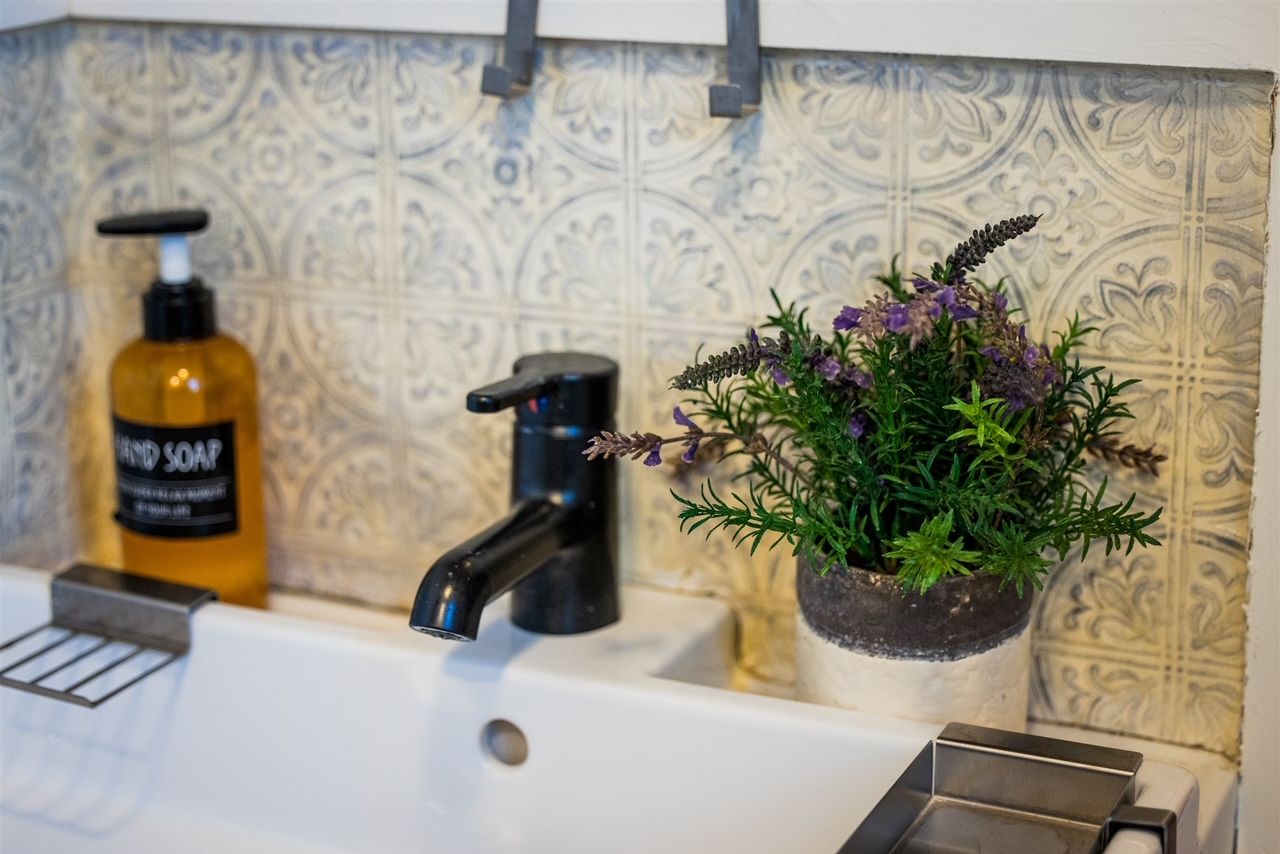 a bathroom sink with a bottle of hand soap and a potted plant .