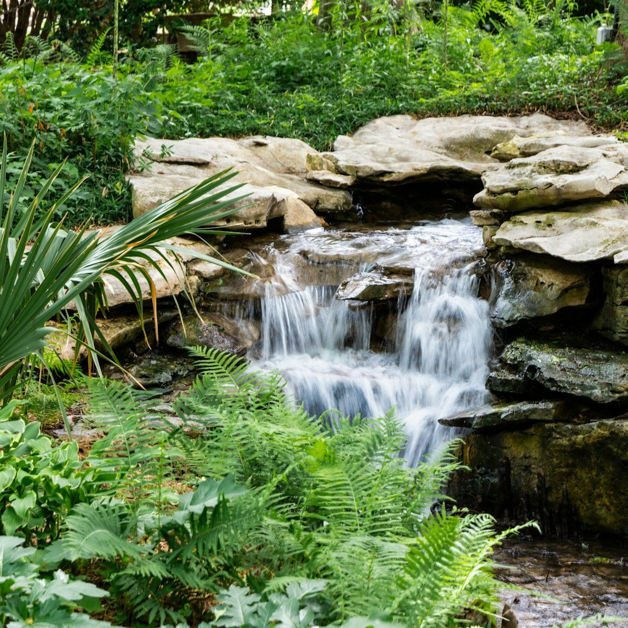 Small waterfall cascading over rocks, surrounded by green ferns and foliage.