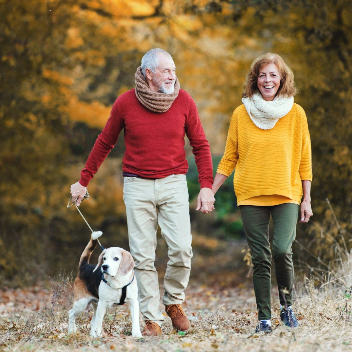 Couple holding hands walking with dog on a path; fall foliage.