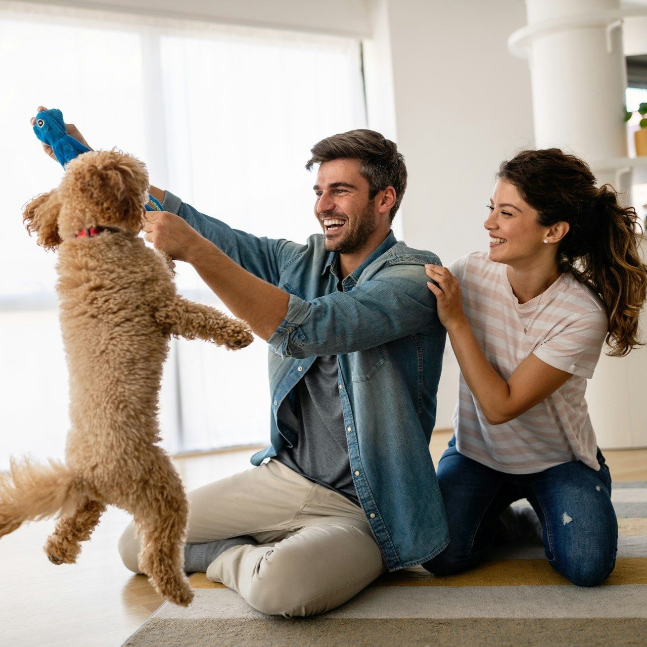 Couple playing with dog indoors; man holds toy as dog jumps, woman kneels smiling.