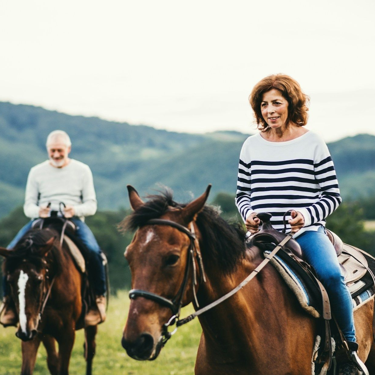 Two people riding horses in a field, mountains in the background. One person wears a striped shirt.