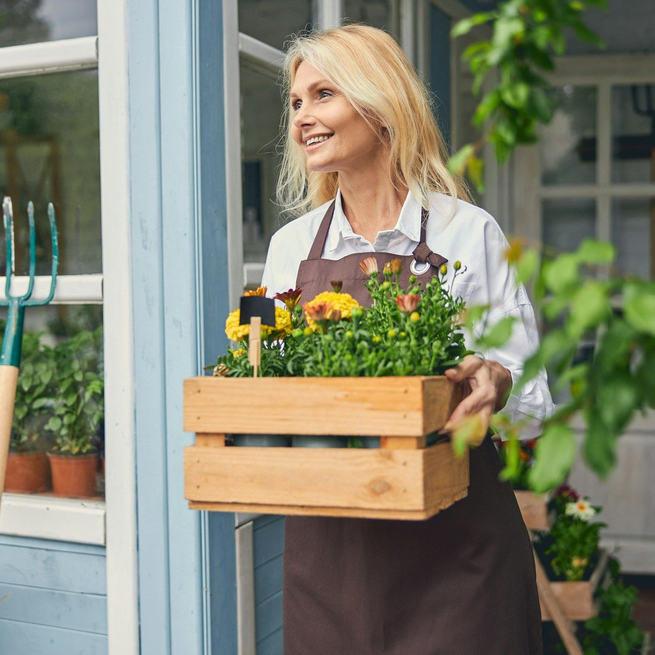 Woman in apron carrying a wooden crate of yellow and orange flowers, standing near a blue house.