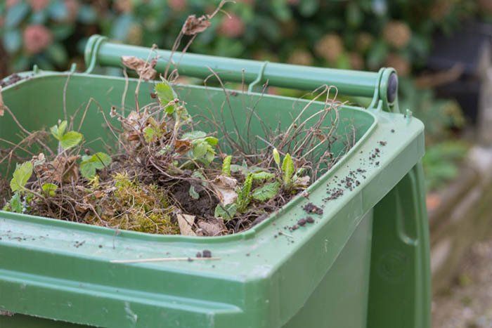 A green trash bin filled with leaves and branches — Rubbish Removal in Gracemere, QLD