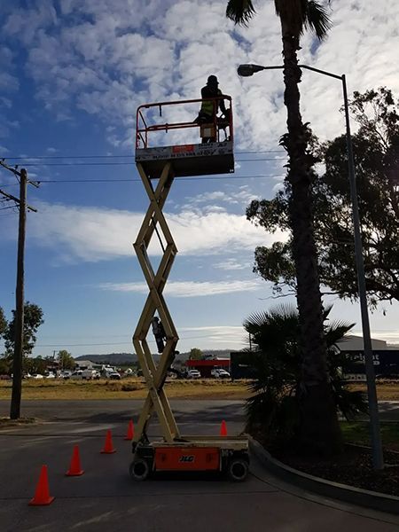 A Man Is Standing on A Scissor Lift in Front of A Palm Tree — Jason Jeffrey Electrical in South Tamworth, NSW