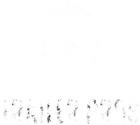 Trailer Pros