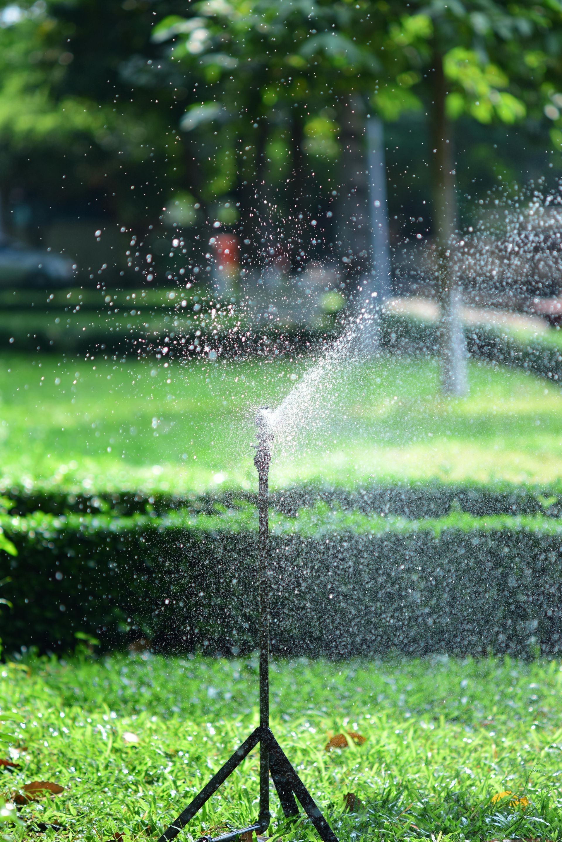 Sprinkler spraying water across a green lawn in a park, with trees and hedges in the background